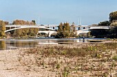 France, Indre et Loire, Loire valley listed as World Heritage by UNESCO, Tours, the Loire in Tours, wild summer vegetation on the Loire beaches and walkers with the Napoleon and Wilson bridges