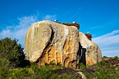 Spanien,Extremadura,Naturdenkmal Los Barruecos,Granitfelsen und Nester von Weißstörchen