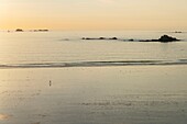 France, Ille et Vilaine, Cote d'Emeraude (Emerald Coast), Saint Malo, Mihinic beach at dawn