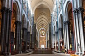 France, Nord, Lille, the Notre Dame de la Treille cathedral