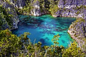 Indonesien,Papua,Raja Ampat,Pianemo-Archipel,die Sternenlagune