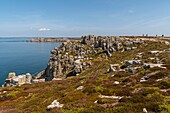 France, Finistère (29), Cornouaille, Crozon Peninsula, Camaret-sur-Mer, Pen-Hir Point in the Iroise Sea