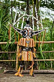 Papua New Guinea, Gulf Province, Toare Village, traditional festival called sing-sing, Hivi Hokore Mask and Pepe Cultural group