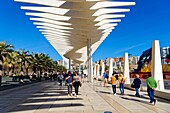 Spanien,Andalusien,Costa del Sol,Malaga,die Uferpromenade am Hafen,Palmeral de las Sorpresas