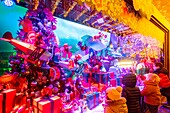 Frankreich,Paris,Schaufenster des Kaufhauses Galeries Lafayette zur Weihnachtszeit