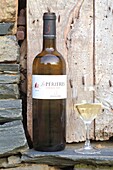 France, Correze, Brive bassin, Allassac, Coteaux de la Vezere wines with AOC Correze and IGP Pays de Brive: white Les Perieres (dry Chenin)