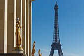 Frankreich,Paris,von der UNESCO zum Weltkulturerbe erklärtes Gebiet,Trocadero,Palais de Chaillot (1937) im neoklassizistischen Stil,Platz der Menschenrechte und der Eiffelturm