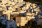 Spanien,Andalusien,Costa del Sol,Provinz Malaga,Casares,weißes Dorf im Hinterland (Pueblos blancos)