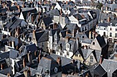 France, Indre et Loire, Loire valley listed as World Heritage by UNESCO, Tours,