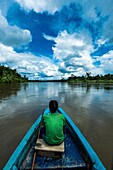 Indonesia, West Papua, Korowai expedition, approach on the Brazza river