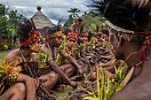 Papua New Guinea, Simbu Province, Kagaï village, courtship ceremony called Tunim Head (Turning head)