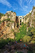 Spain, Andalusia, Malaga Province, Ronda, white villages road (Ruta de los Pueblos Blancos), perched village on a rocky spur and the Puente Nuevo (New Bridge)