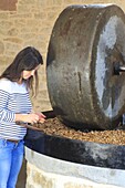 France, Correze, Ligneyrac, Moulin de la Vie Contee, stone grinding of the Perigord walnuts to make AOC walnut oil, verification by Anne Jaubertie