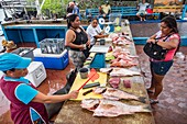 Ecuador,Galapagos-Archipel,von der UNESCO zum Weltkulturerbe erklärt,Insel Santa Cruz,Puerto Ayora,Fischmarkt