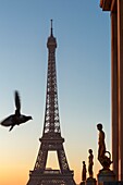 Frankreich,Paris,von der UNESCO zum Weltkulturerbe erklärtes Gebiet,Trocadero,Palais de Chaillot (1937) im neoklassizistischen Stil,der Platz der Menschenrechte und der Eiffelturm