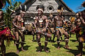 Papua New Guinea, East Sepik Province, Sepik River Region, Chambri Lake, Wombun Village, traditionnal sing-sing group dancing in front of House of Spirits (Haustambaran) named Walindimi