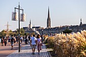 France, Gironde, Bordeaux, area listed as World Heritage by UNESCO, Bordeaux, Quai Louis XVIII, in the background the spire of the Saint-Michel Basilica in Bordeaux