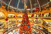 Frankreich,Paris,das Kaufhaus Galeries Lafayette zur Weihnachtszeit,der Weihnachtsbaum unter der Kuppel