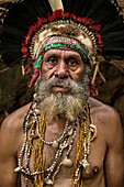 Papua New Guinea, Eastern Highlands Province, Goroka, Bena tribe, man wearing body decoration during Neheya initiation called Dring Kol Wara (Drink Cold Water) during when mean swallow cane