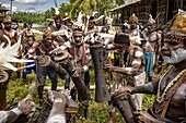 Indonésie, Papua, Agats district, Beriten village, Asmat tribe, drum ceremony