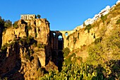 Spain, Andalusia, Malaga Province, Ronda, white villages road (Ruta de los Pueblos Blancos), perched village on a rocky spur and the Puente Nuevo (New Bridge)