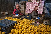 Turkey, Cappadocia, Ortahisar