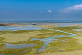 France, Somme, Baie de Somme, Saint-Valery-sur-Somme, Cap Hornu, High tide, Flood flooding