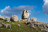 Frankreich,Cevennen-Nationalpark,Chaos von Nîmes Le Vieux