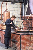 France, Correze, Brive la Gaillarde, Denoix distillery opened in 1839 and labelled Entreprise du patrimoine vivant, liquorist at work.