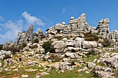 Spain, Andalusia, Costa del Sol, Malaga Province, Antequera, El Torcal natural reserve, rock formation listed as World Heritage by UNESCO