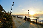 Spain, Andalusia, Costa del Sol, Malaga Province, Marbella, seafront along the beach