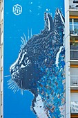 France, Paris, mural on the facade of an apartment building called Le Chat (The Cat) located in Boulevard Vincent Auriol by C215