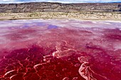 Kenia,Magadi-See,Rift Valley,Soda (Luftaufnahme)