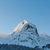 France, Pyrenees Atlantiques, Gourette ski resort (locality of the commune of Eaux-Bonnes),