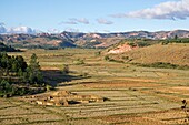 Madagaskar,Landschaft auf der Straße zwischen Antananarivo und Ambatondrazaka