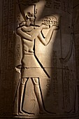 Egypt, Upper Egypt, Nile Valley, Kom Ombo, bas-reliefs depicting Pharaoh on a column of the temple of Kom Ombo