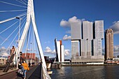 Niederlande,Südholland,Rotterdam,Süduferbereich entlang der Nieuwe Maas mit dem vom niederländischen Architekten Rem Koolhaas (OMA) entworfenen Gebäude De Rotterdam (2014) und der Erasmusbrücke im Vordergrund