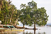 Philippines, Palawan, Malampaya Sound Protected Landscape and Seascape, boat on the bank