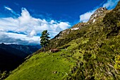 Kolumbien,Kaffeeregion,Salento,Cocora-Tal,Nationalpark Los Nevados,Paramo des Vulkans Tolima 5215m,Finca Buenos Aires