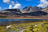 Vereinigtes Königreich,Schottland,Highlands,Hebriden,Isle of Skye,Loch Slapin in Richtung Torrin und die Red Cuillin Mountains