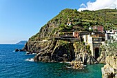 Italien,Ligurien,Provinz La Spezia,Nationalpark Cinque Terre,von der UNESCO zum Weltkulturerbe erklärt,Dorf Riomaggiore,A pie de Ma bar