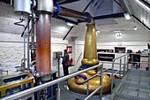 United Kingdom, Scotland, Highlands, Hebrides, Isle of Skye, Teangue, Torabhaig whisky Distillery, Wash distillation in Pot Stills copper alambics