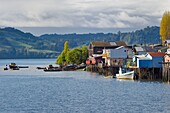 Chile, Los Lagos region, Chiloé Island, town of Castro, wooden fishing houses on stilts called palafitos