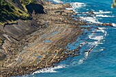 Spain, Basque Country, Guipuzcoa, Zumaia, UNESCO Flysch Geopark, or Basque coastal flat, with stratotypes dating back millions of years