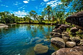 Kolumbien,Llanos,Cazuarito,Lagune San Roque