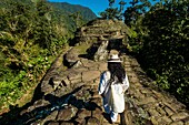 Colombia, Sierra Nevada de Santa Marta, Tayrona Park, trek of the Lost City, registered World Heritage by UNESCO