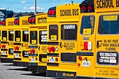 Canada, Ontario province, School Bus