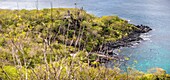 Ecuador,Galapagos-Archipel,von der UNESCO zum Weltkulturerbe erklärt,Insel San Cristóbal,Statue von Charles DARWIN mit Blick auf den Strand von Muelle Tijeretas in der Darwin-Bucht