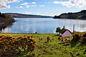 Vereinigtes Königreich,Schottland,Highland,Innere Hebriden,Isle of Mull,traditionelles Haus am Rande von Loch Scridain