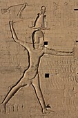 Ägypten,Oberägypten,Niltal,Edfu,riesiger Pharao an der Fassade des Horus-Tempels,dem zweitgrößten Heiligtum Ägyptens